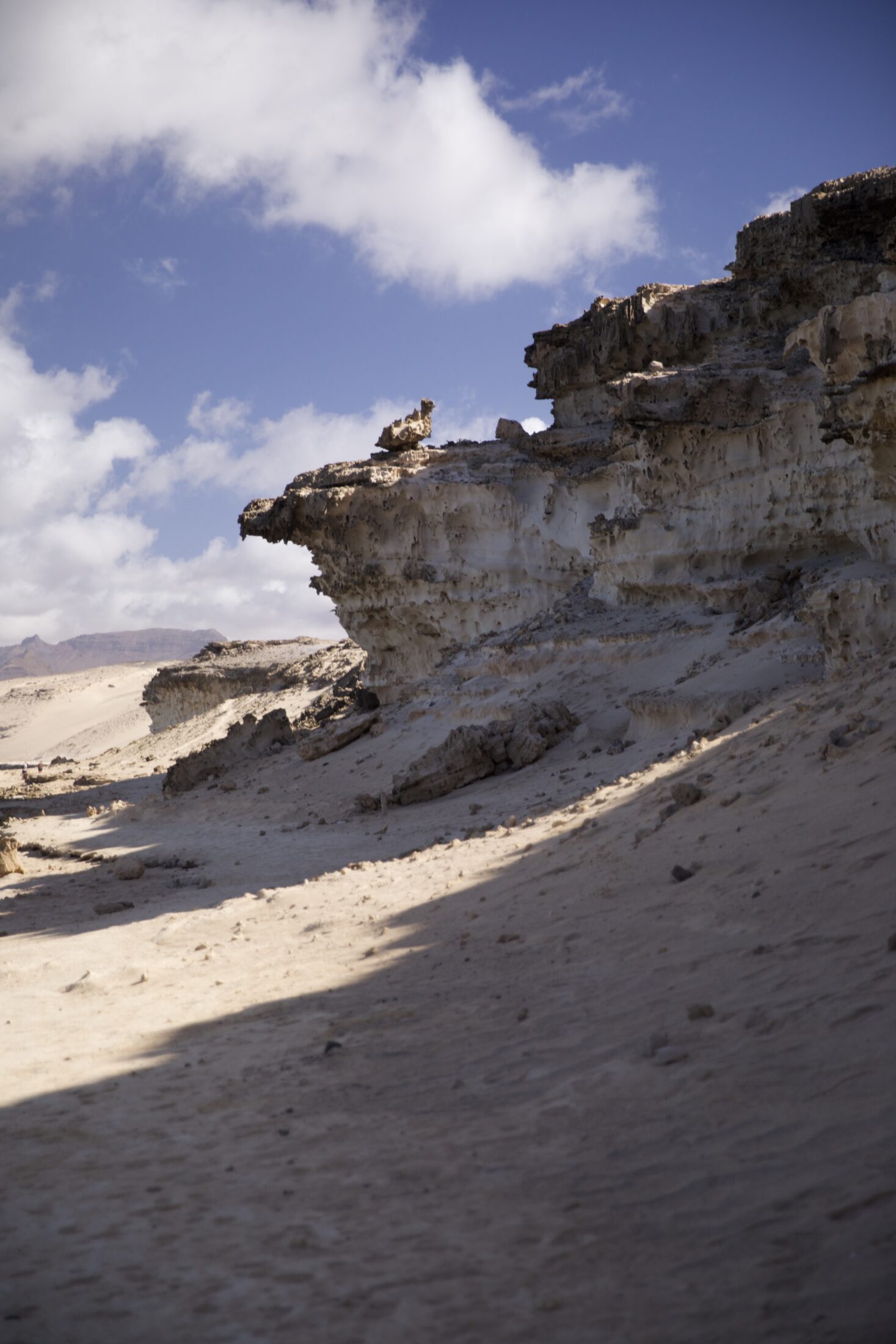 Bizarre Sandsteinküste