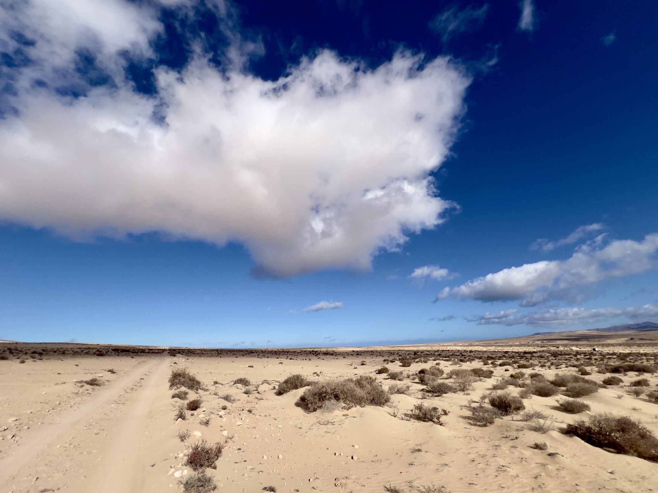 Ein Weg führt auf der linken Seite in die Wüste. Trockenes Gebüsch an der Seite. Eine weiße Wolke deckt die Hälfte des blauen Himmels ab.