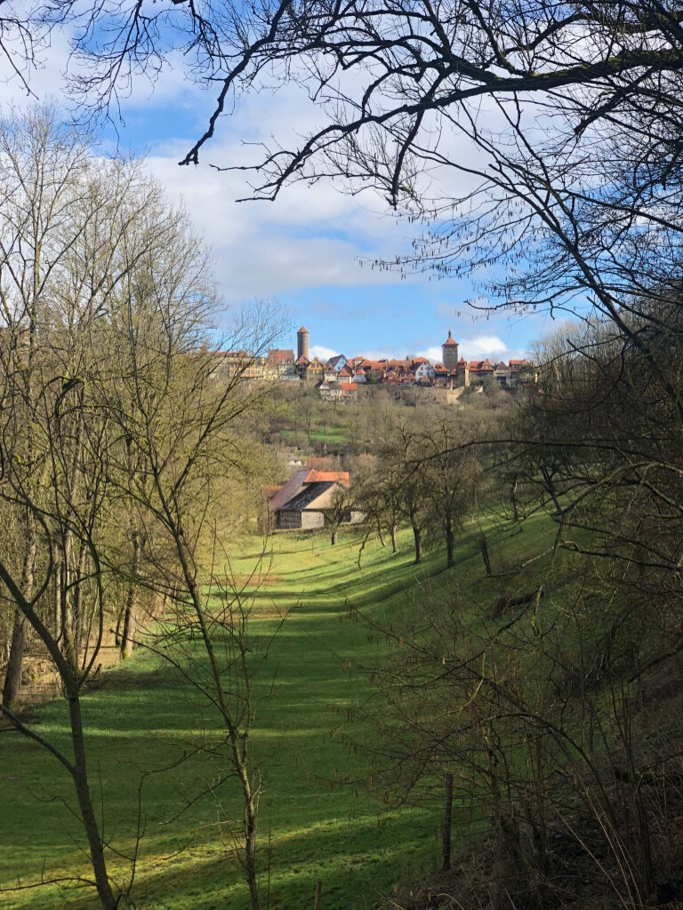 Blick über Wiesen auf Rothenburg ob der Tauber