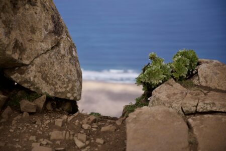 Blick durch einen breiten Steinspalt. Am rechten Stein sieht man ein grünes Gewächs. Der Hintergrund, ein kleines Stückchen Strand und das Meer mit Gischt sind unscharf. 