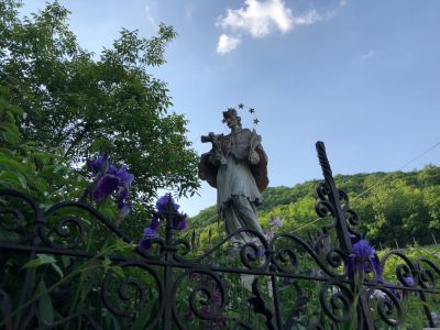 Denkmal Heiliger Johannes von Nepomuk mit violetten Blumen davor.