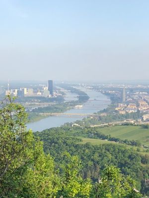 Die Donau, die Neue Donau und als markante Bauwerke der schwarze DC-Tower und der silberne Milleniumstower