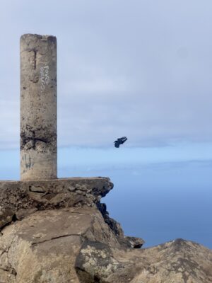 Am Gipfel ist ein Betonpfahl aufgestellt, mit mehreren Einkerbungen. Ein Dohle fliegt durch das Bild
