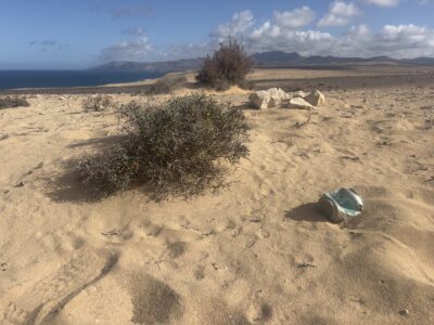 Eine Dose liegt im Wüstensand neben einem trockenen niederen Busch