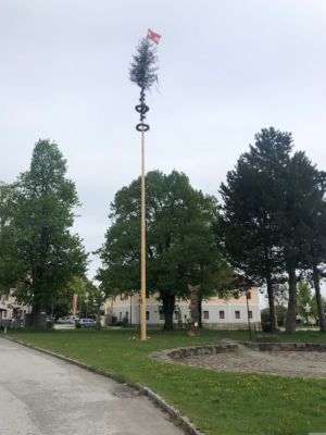 Maibaum Groß-Schönau